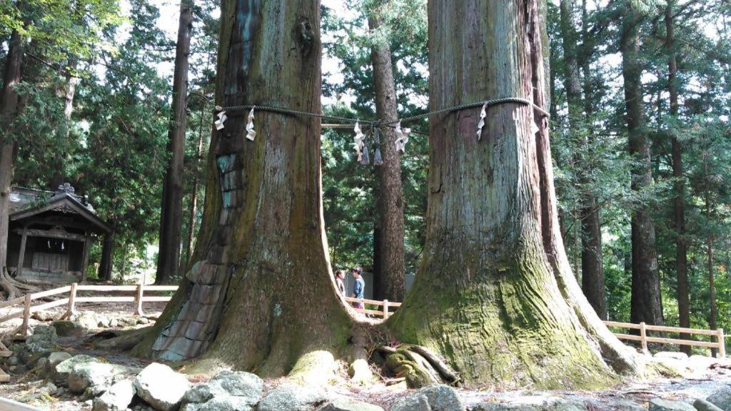 御師の家　梅谷（Umeya） Villa Fujikawaguchiko Luaran gambar