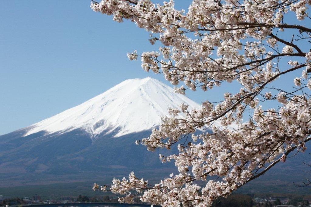 御師の家　梅谷（Umeya） Villa Fujikawaguchiko Luaran gambar